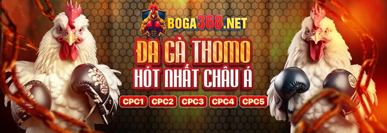 Blog của vg999clb với các tin tức và chiến lược cá cược